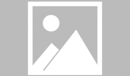 最变态的动漫,探寻最变态动漫的黑暗世界